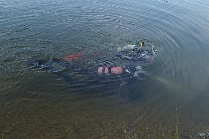 Rampe 310714 (28).jpg